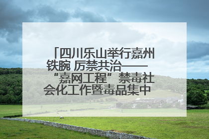 四川乐山举行嘉州铁腕 厉禁共治——“嘉网工程”禁毒社会化工作暨毒品集中销毁启动仪式