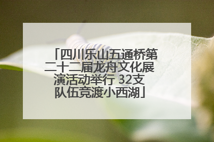 四川乐山五通桥第二十二届龙舟文化展演活动举行 32支队伍竞渡小西湖