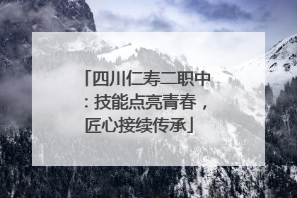 四川仁寿二职中：技能点亮青春，匠心接续传承