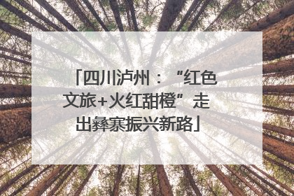 四川泸州：“红色文旅+火红甜橙”走出彝寨振兴新路