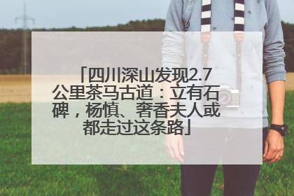 四川深山发现2.7公里茶马古道：立有石碑，杨慎、奢香夫人或都走过这条路