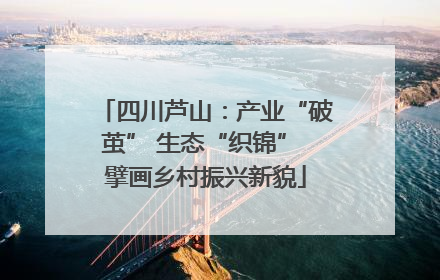 四川芦山：产业“破茧” 生态“织锦” 擘画乡村振兴新貌
