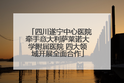 四川遂宁中心医院牵手意大利萨莱诺大学附属医院 四大领域开展全面合作