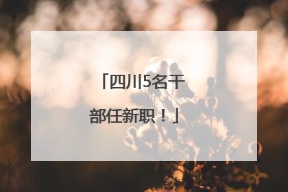 四川5名干部任新职！