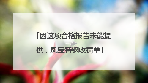 因这项合格报告未能提供，凤宝特钢收罚单