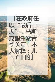 在政府任职“最后一天”，马斯克眼角淤青引关注，本人解释：儿子干的
