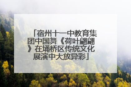 宿州十一中教育集团中国舞《荷叶翩翩》在埇桥区传统文化展演中大放异彩