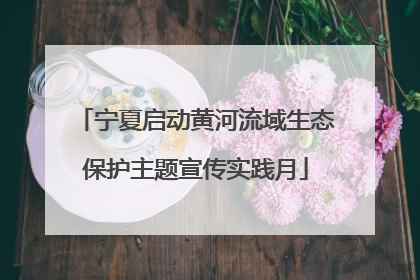宁夏启动黄河流域生态保护主题宣传实践月