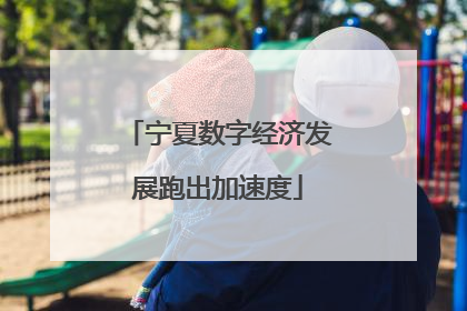 宁夏数字经济发展跑出加速度