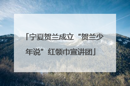 宁夏贺兰成立“贺兰少年说”红领巾宣讲团