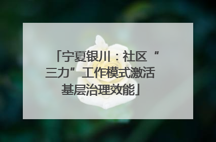 宁夏银川：社区“三力”工作模式激活基层治理效能