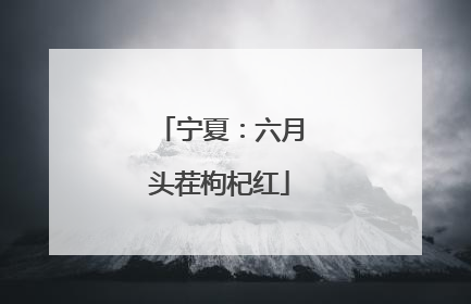 宁夏：六月头茬枸杞红