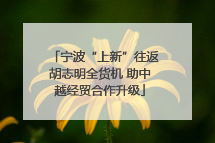宁波“上新”往返胡志明全货机 助中越经贸合作升级