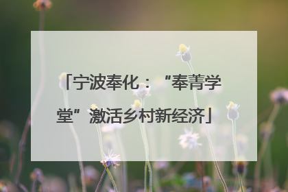 宁波奉化：“奉菁学堂”激活乡村新经济