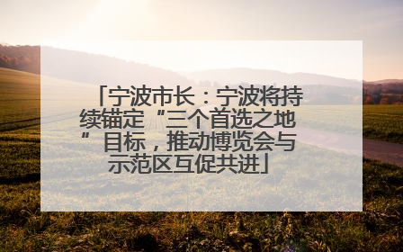 宁波市长：宁波将持续锚定“三个首选之地”目标，推动博览会与示范区互促共进
