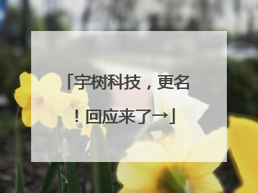 宇树科技，更名！回应来了→