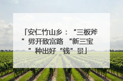 安仁竹山乡：“三板斧”劈开致富路 “新三宝”种出好“钱”景