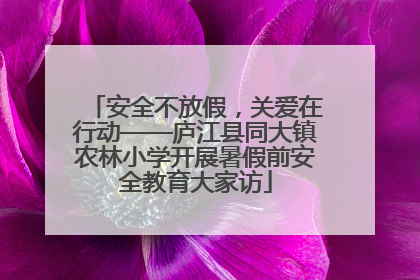 安全不放假，关爱在行动——庐江县同大镇农林小学开展暑假前安全教育大家访