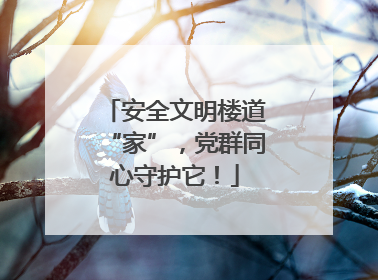 安全文明楼道“家”，党群同心守护它！