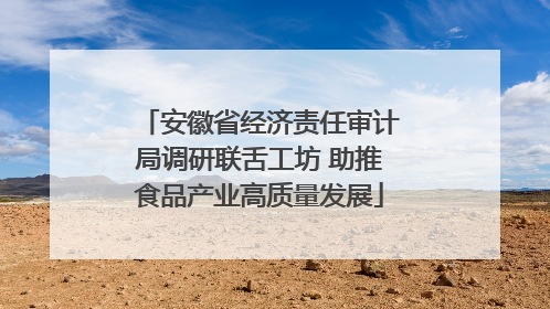 安徽省经济责任审计局调研联舌工坊 助推食品产业高质量发展