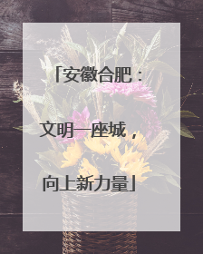 安徽合肥：文明一座城，向上新力量