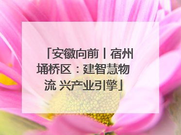 安徽向前丨宿州埇桥区：建智慧物流 兴产业引擎