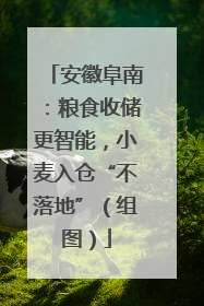 安徽阜南：粮食收储更智能，小麦入仓“不落地”（组图）