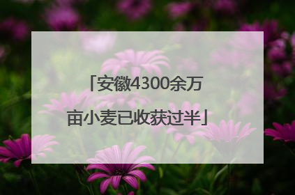 安徽4300余万亩小麦已收获过半
