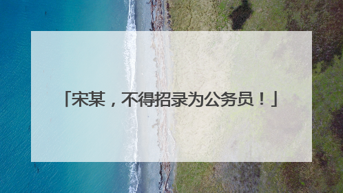 宋某，不得招录为公务员！