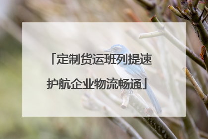 定制货运班列提速 护航企业物流畅通