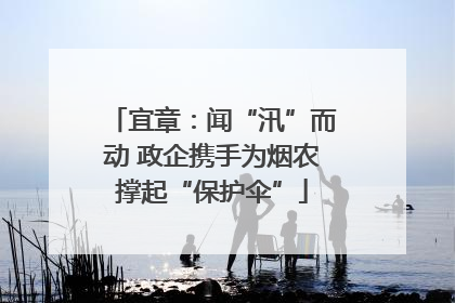 宜章：闻“汛”而动 政企携手为烟农撑起“保护伞”