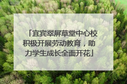 宜宾翠屏草堂中心校积极开展劳动教育，助力学生成长全面开花
