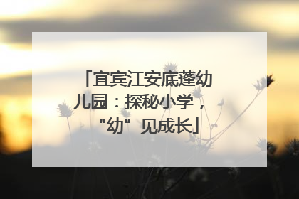 宜宾江安底蓬幼儿园：探秘小学，“幼”见成长