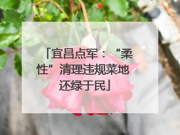 宜昌点军：“柔性”清理违规菜地 还绿于民