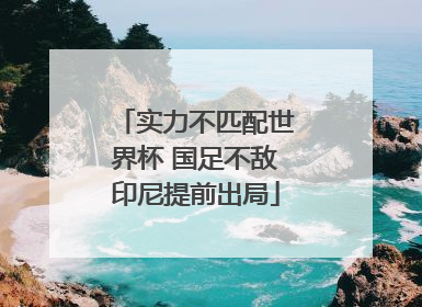 实力不匹配世界杯 国足不敌印尼提前出局