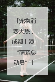 宠物消费火热，成都上演“萌宠总动员”