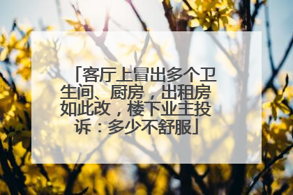 客厅上冒出多个卫生间、厨房，出租房如此改，楼下业主投诉：多少不舒服