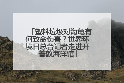 塑料垃圾对海龟有何致命伤害？世界环境日总台记者走进开普敦海洋馆