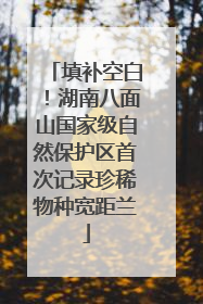 填补空白！湖南八面山国家级自然保护区首次记录珍稀物种宽距兰