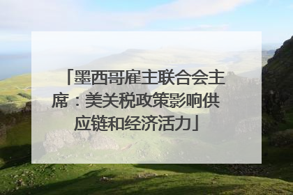 墨西哥雇主联合会主席：美关税政策影响供应链和经济活力
