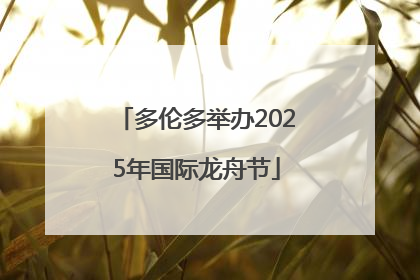 多伦多举办2025年国际龙舟节