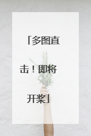 多图直击！即将开桨