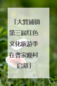大箕铺镇第三届红色文化旅游季在曹家晚村启幕