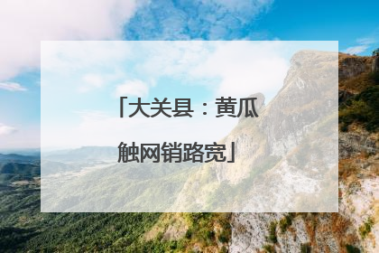 大关县：黄瓜触网销路宽