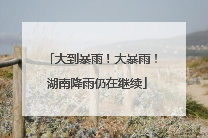 大到暴雨！大暴雨！湖南降雨仍在继续