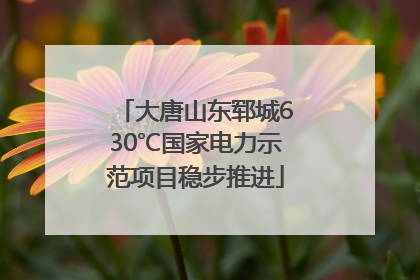 大唐山东郓城630℃国家电力示范项目稳步推进