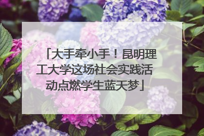 大手牵小手！昆明理工大学这场社会实践活动点燃学生蓝天梦
