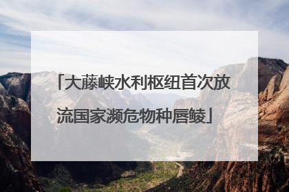 大藤峡水利枢纽首次放流国家濒危物种唇鲮