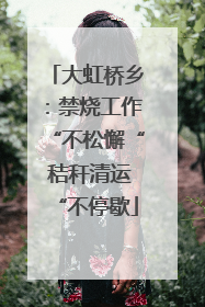 大虹桥乡：禁烧工作“不松懈“ 秸秆清运“不停歇