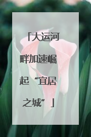 大运河畔加速崛起“宜居之城”